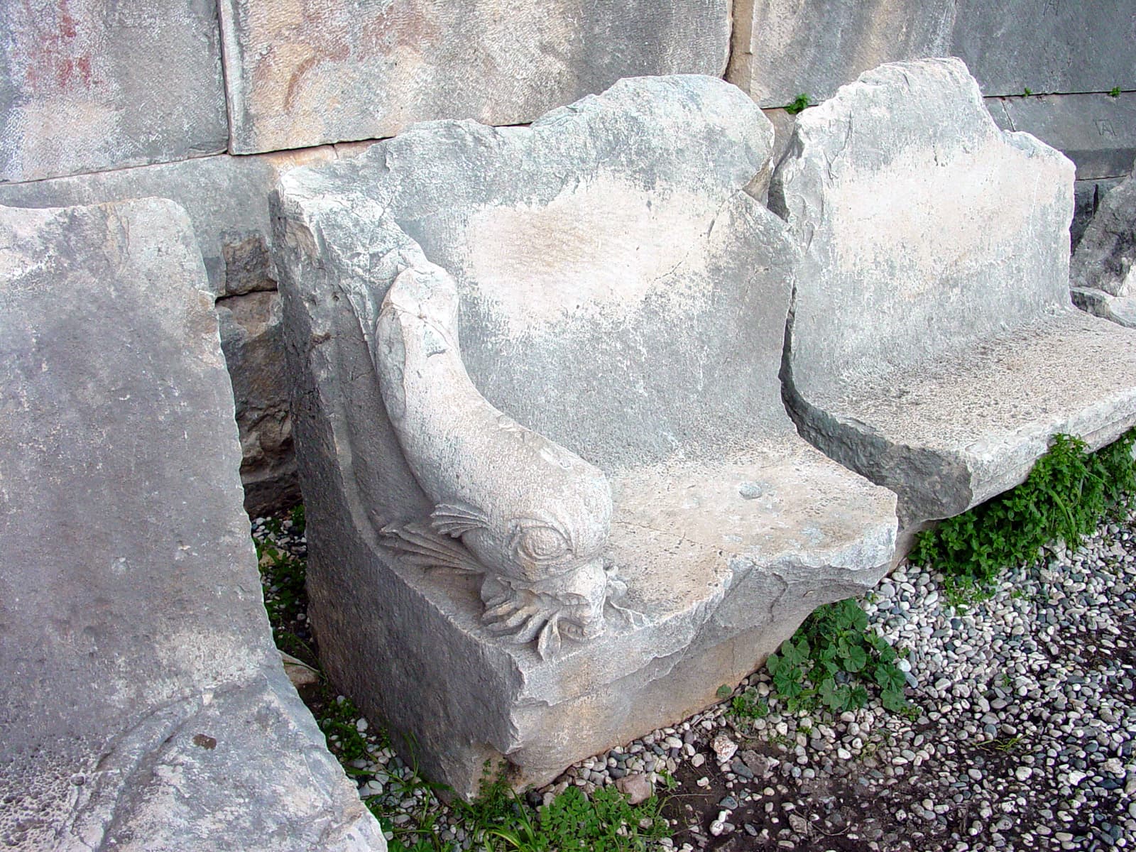 Dolphin Seat