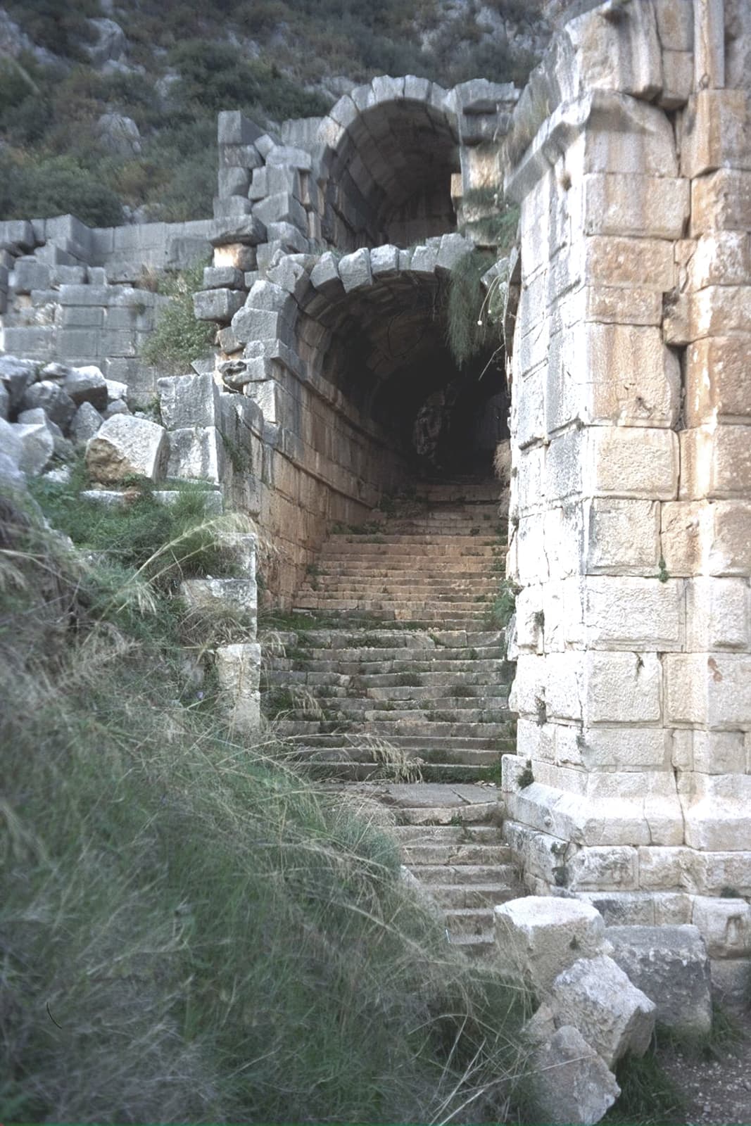 Audience Entrance