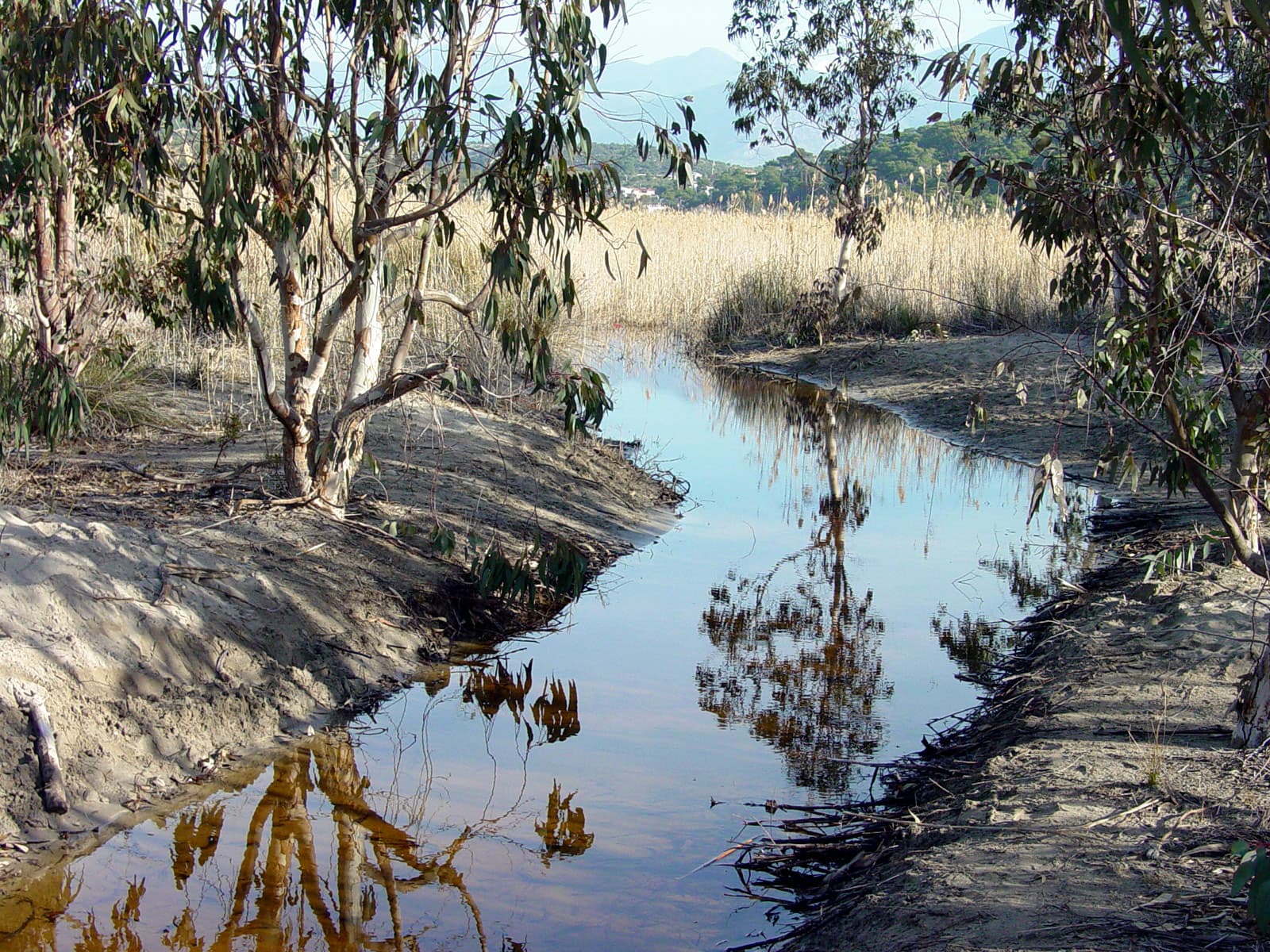 Small Stream