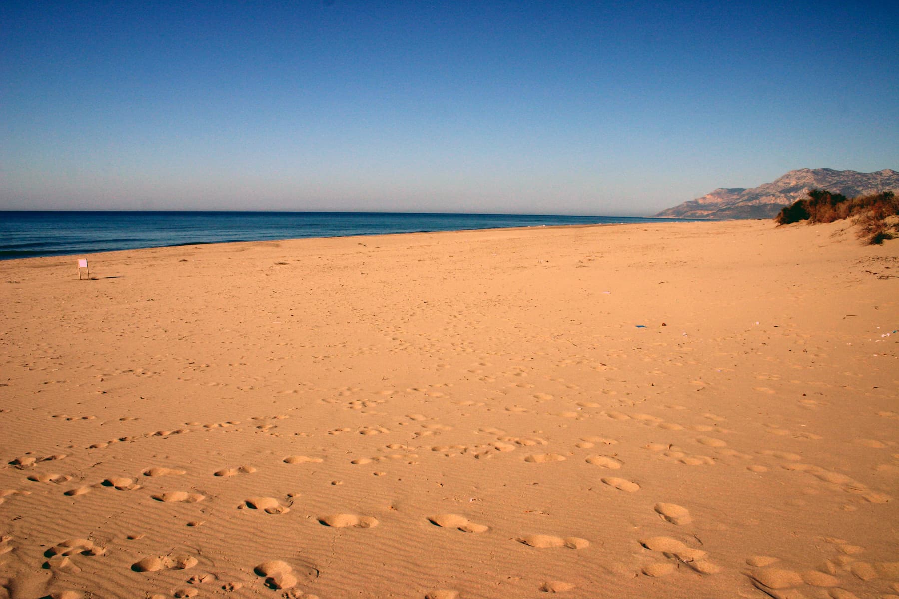Beach (2)