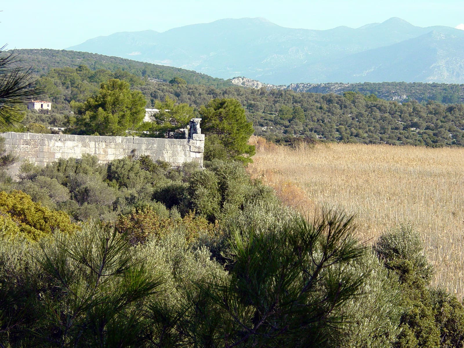Granary of Hadrian (1)