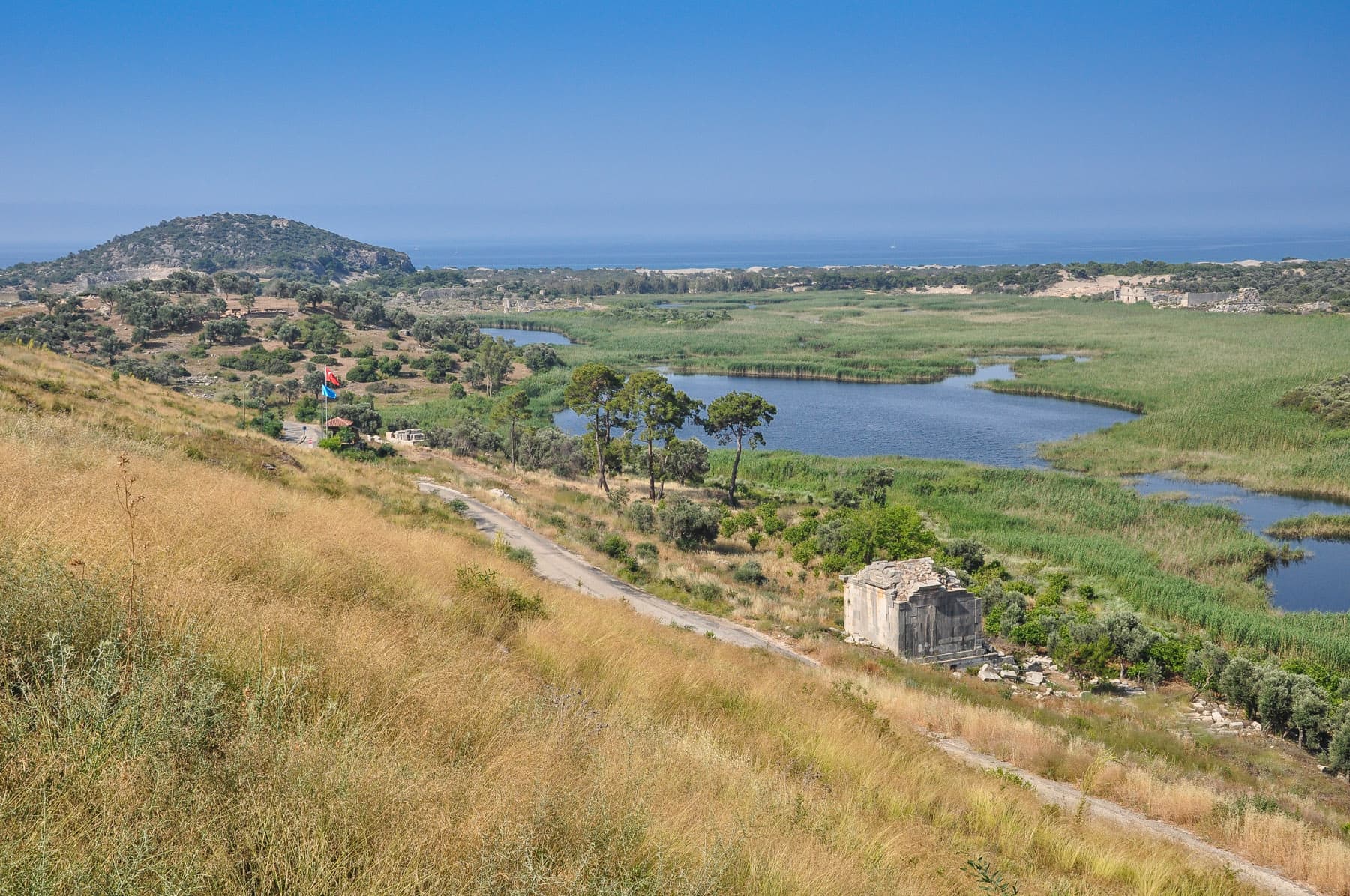 Overview