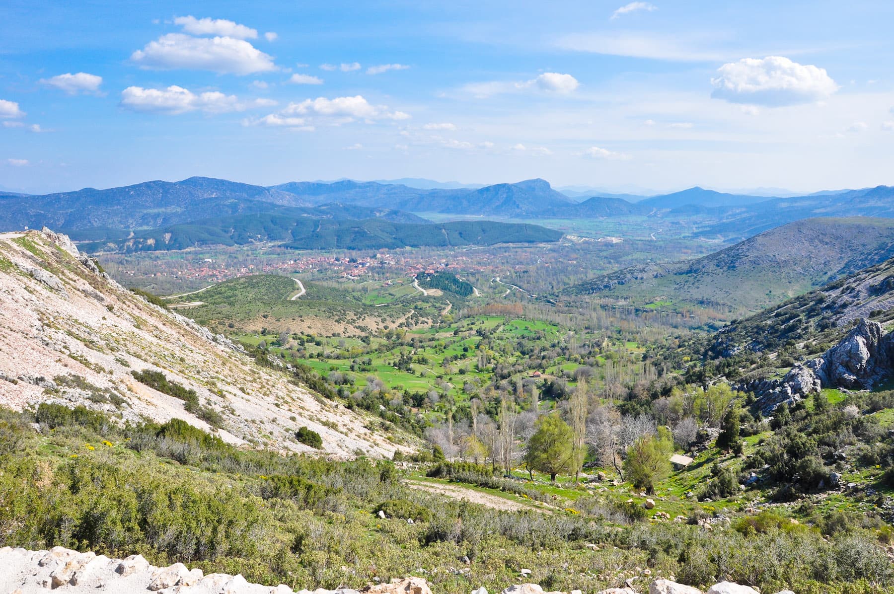 View South