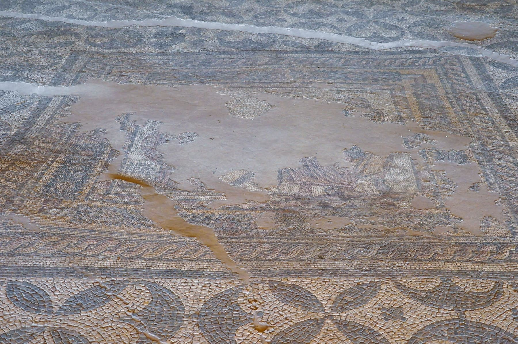 Library of Neron 3