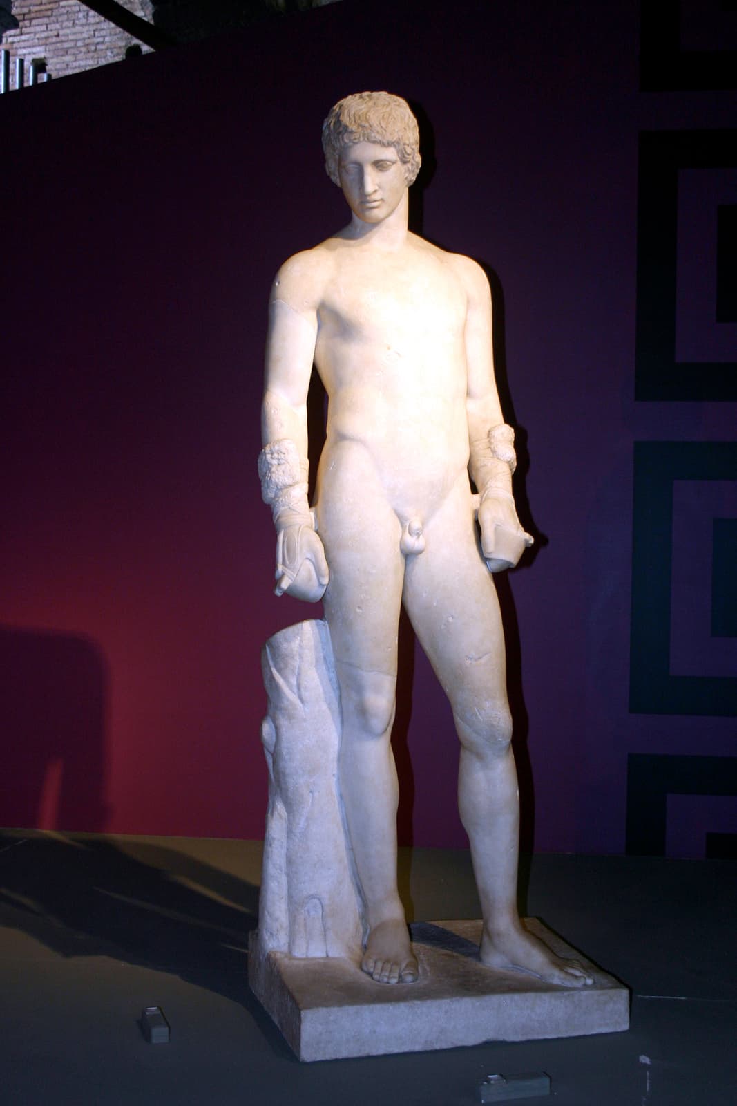 Boxer (1)