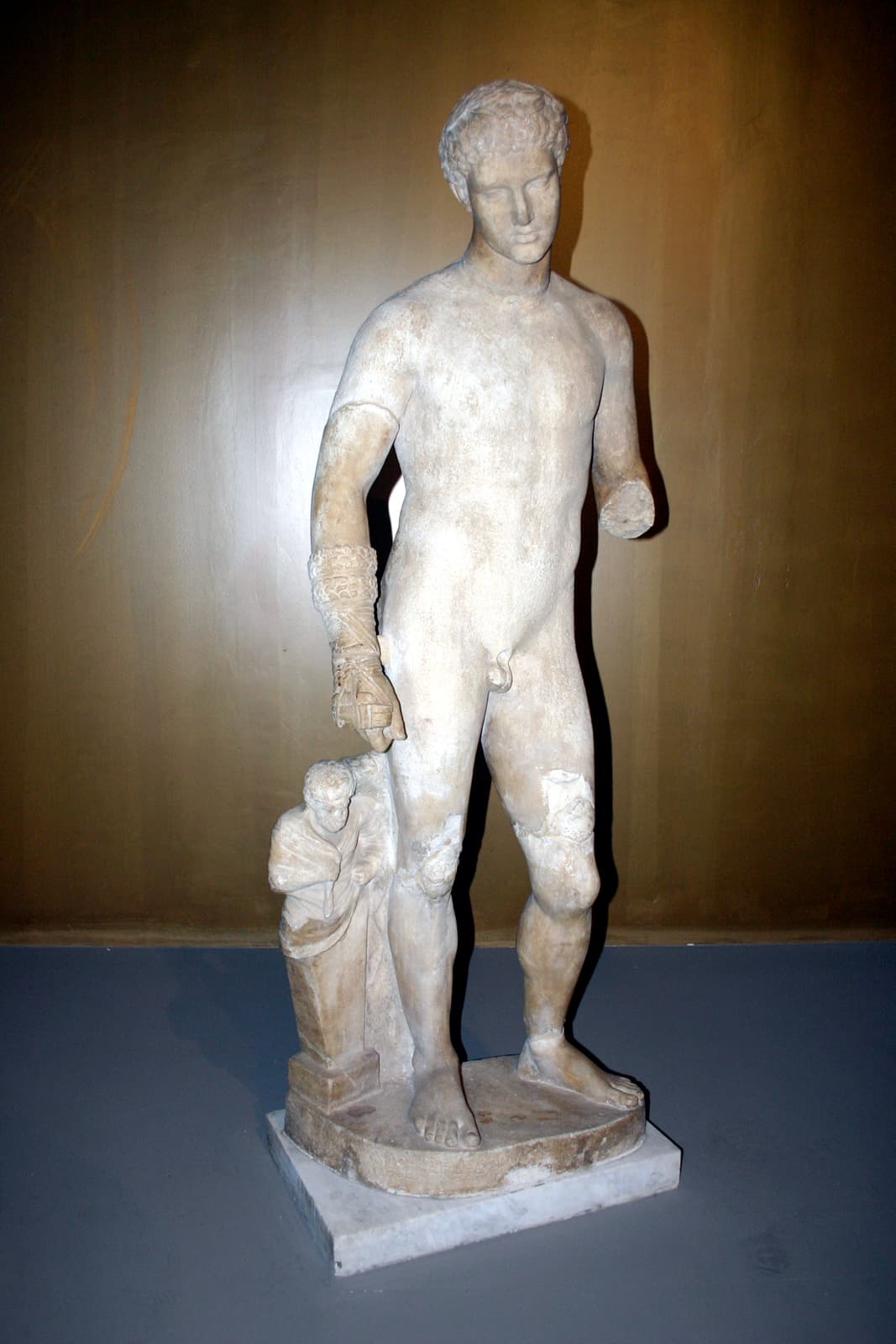 Boxer (2)
