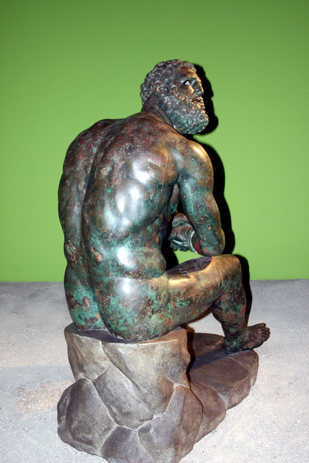 Boxer at Rest (Back)