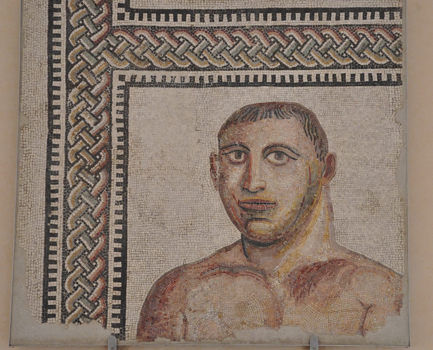 Mosaic Boxer