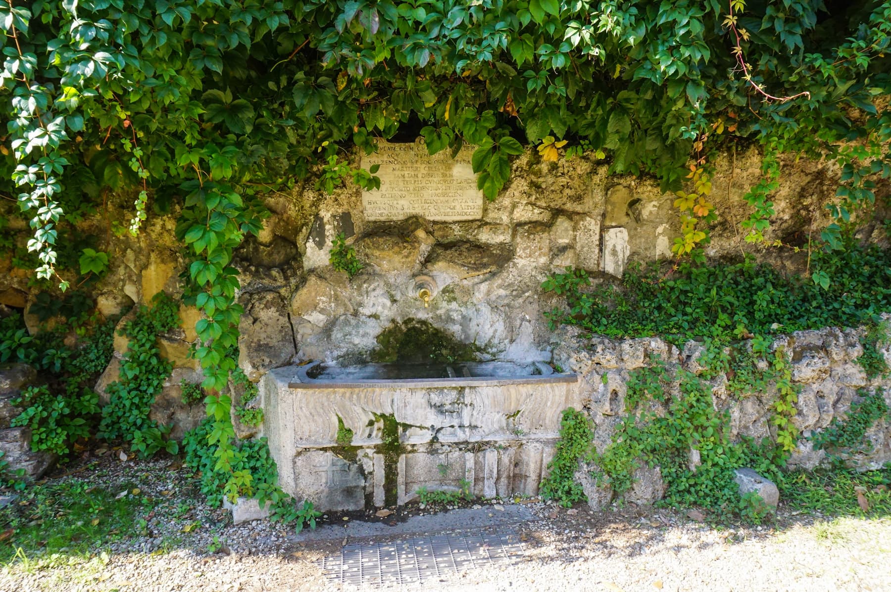 Spring - Fountain
