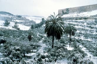 Winter