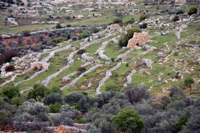 Views of Ephraim