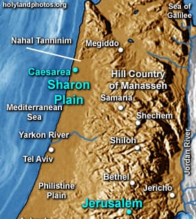 Views of Sharon Plain