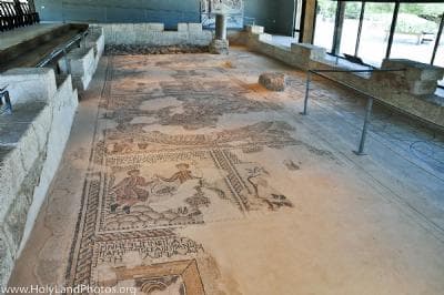 Sepphoris Synagogue Mosaics