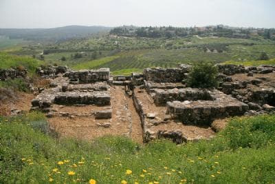 David and Solomon 138–149