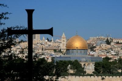 Dominus Flevit 15 images