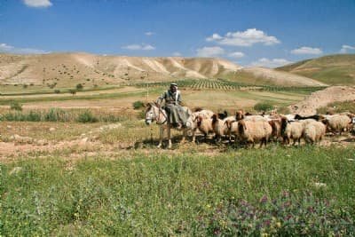 Introduction to the Middle East as a Whole