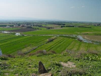 Syria